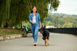 一个小女孩和一只德国牧羊犬在公园里散步。
